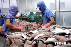 Les entreprises vietnamiennes ne pratiquent pas le dumping avec les filets de poissons Tra et Basa surgelés exportés sur le marché américain. (Source : VNA)