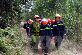 Les forces compétentes ont quadrillé tout le secteur où l'hélicoptère est tombé. Photo: VNA