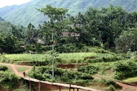 La Réserve naturelle de Pù Luông (Source: Internet)