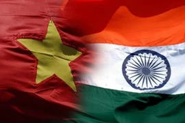 Renforcer la coopération de développement Vietnam-Inde 