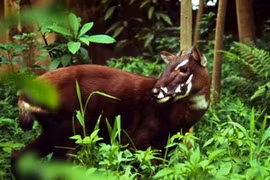 Photo d'illustration.(Source: internet)