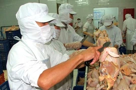 Transformation de la viande de poulet. Photo : Net
