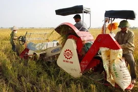 Encourager l'investissement privé dans l'agriculture