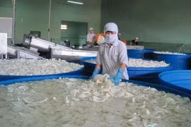 Transformation de noix de coco pour l'exportation. (Source: PCV)