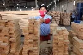 Photo d'illustration (Source: VNA)