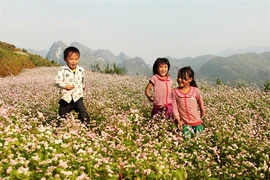 Le tour Hanoi - Hà Giang - Dông Van - Lung Cu - Ma Pi Lèng - Mèo Vac - Bac Mê (5 jours) coûte 6,99 millions de dôngs. 