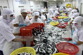 Transformation de produits aquatiques pour l'exportation. Photo: VNA