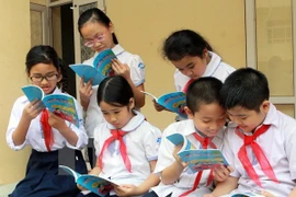 Photo d'illustration. (Nguyễn Thủy/VNA)