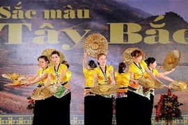 La représentation des numéros artistiques de la troupe de Lai Chau. (Photo: Thanh Ha/AVI)