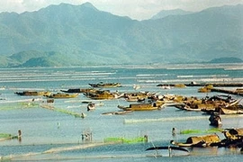 La zone de marais et de lagunes de Tam Giang-Cau Hai. (Source: Internet)