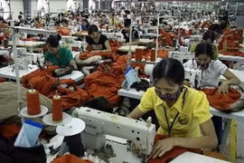 Photo : Trong Dat/VNA