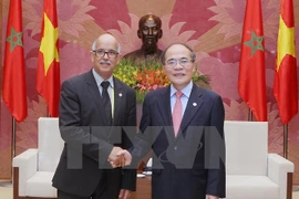Le président de l'Assemblée nationale vietnamienne Nguyen Sinh Hung (droite), reçoit le président de la Chambre des Conseillers du Maroc, Mohamed Cheikh Biadillah. (Source : VNA)