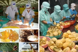 Photo d’illustration (source : internet).