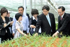 La zone de hautes technologies agricoles de Ho Chi Minh-Ville. Photo : Thanh Vu/VNA