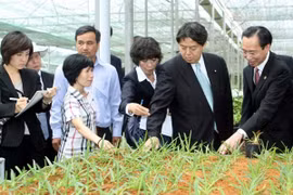 La zone de hautes technologies agricoles de Ho Chi Minh-Ville. Photo : Thanh Vu/VNA