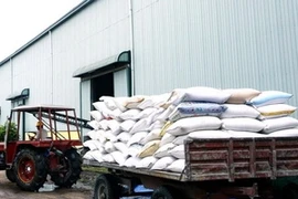 Riz : Exportations record en 2010 