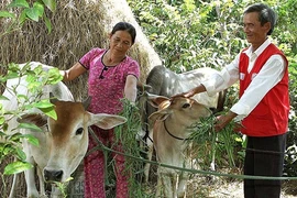 La lutte contre la pauvreté est toujours prioritaire au Vietnam. Photo: Duong Ngoc/VNA