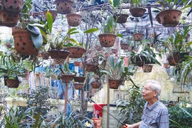 Nguyên Manh Hà soigne son jardin.