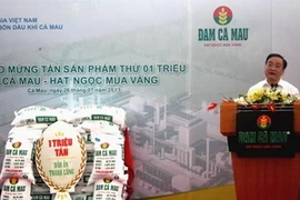 Le vice-Premier ministre Hoang Trung Hai prend la parole lors de la cérémonie. (Source: VNA)