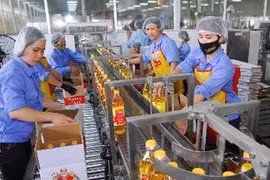 La chaîne de production de la Compagnie d'huile végétale Cai Lân . (Photo: Hong Ky/AVI)
