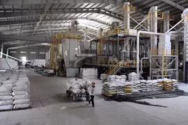 La valeur à l'exportation du riz est en baisse depuis le début de l'année. Photo/VNA