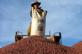 Photo d'illustration