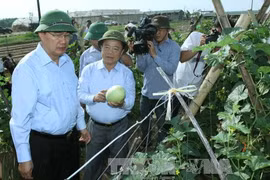 Nguyen Thien Nhan rend visite à des coopératives à Ha Tinh. Photo : VNA