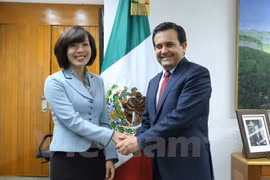 L'ambassadeur du Vietnam au Mexique, Mme Le Linh Lan, et le ministre mexicain de l'Economie, Ildefonso Guajardo Villarreal. Source: VNA