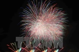 Concours international de feux d’artifice de Dà Nang 2015. Photo : VNA