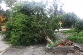 La tempête Jebi fait onze morts et blessés 