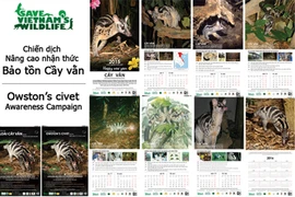 Le calendrier sur le thème de la civette palmiste d’Owston. Photo : SVW/CVN