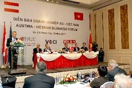 Forum d'entreprises Vietnam-Autriche 2012 (Photo: Thanh Vu/AVI)