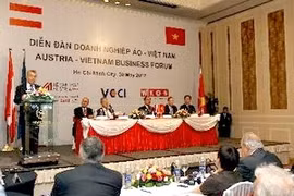 Forum d'entreprises Vietnam-Autriche 2012 (Photo: Thanh Vu/AVI)