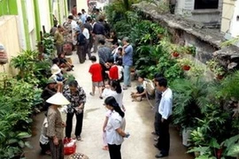 Marchés : Il était une foire dans la ville millénaire de Hanoi 