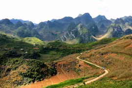 Le plateau calcaire de Dong Van. Photo : Nhat Anh/VNA
