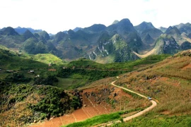 Le plateau calcaire de Dong Van. Photo : Nhat Anh/VNA