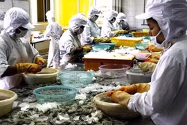 Le traitement des crevettes pour l'exportation. (Source: VNA)