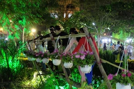 La foire aux fleurs printanières de Phu My Hung ouvre ses portes le 12 février à Hô Chi Minh-Ville.