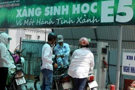 Photo: Hoang Lam/VNA)