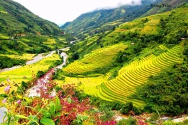 Muong Hoa, une vallée pittoresque à Sa Pa 
