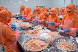 Selon le Consulat général du Vietnam à Hong Kong et Macao (Chine), les exportations vietnamiennes à Hong Kong ont atteint plus de 5,2 milliards de dollars en 2014. 