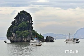 La baie de Ha Long, un patrimoine naturel du Vietnam. Source: VNA