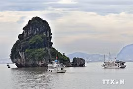La baie de Ha Long, un patrimoine naturel du Vietnam. Source: VNA