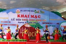 Cérémonie d'ouverture du Festival des fruits du Sud 2013, 1er juin, à Hô Chi Minh-Ville. (Source: VNA)