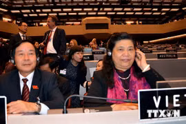Le vice-président de l’AN vietnamienne, Mme Tong Thi Phong (Source: VNA)
