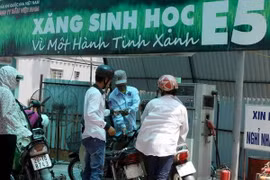 Photo: Hoang Lam/VNA)