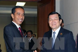 Le président du Vietnam Truong Tan Sang (droite) a eu une entrevue avec le président indonésien Joko Widodo. (Photo: Nguyễn Khang/VNA)