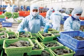 Le Vietnam reste en tête parmi des fournisseurs de crevettes transformées et congelées des Etats-Unis.