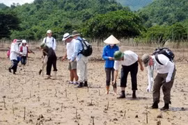 Photo d'illustration. Source : Internet