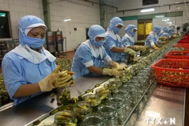 Traitement de produits agrcioles pour l'exportation. (Source : VNA)